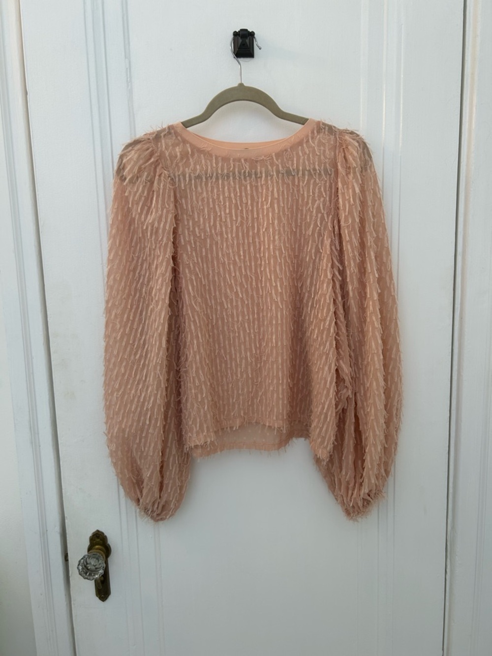 Zara Textured Sheer Puff Sleeve Top - Peach